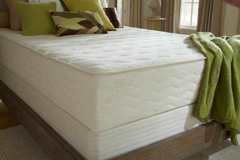 12'' firm latex mattress plushbeds mattress
